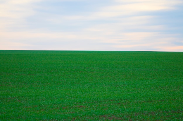 Impressive cloudy sky in the countryside