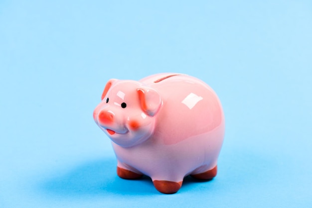 Income management financial problem piggy bank on blue background planning budget money saving Bank collector service Piggy bank adorable pink pig Lots of money