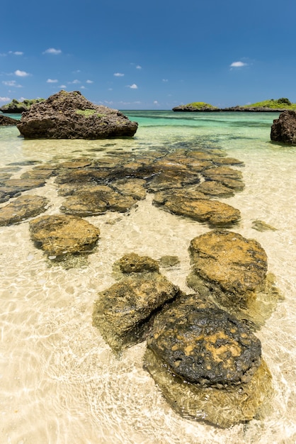 Incredible shape rocks formation surrounded by a crystalline sea. Iriomote island