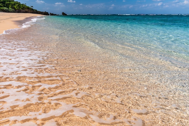 Incredible turquoise crystal clear sea water at a paradise beach in a sunny day