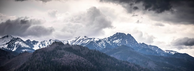 incredible view of the mighty snow-capped mountains, incredible wildlife