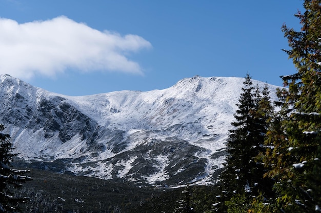 Incredibly beautiful peaks of snow-capped mountains, incredible wildlife