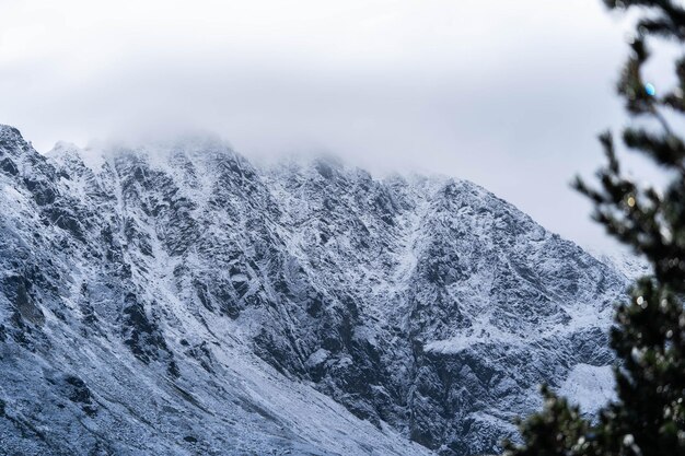 Incredibly beautiful peaks of snow-capped mountains, incredible wildlife