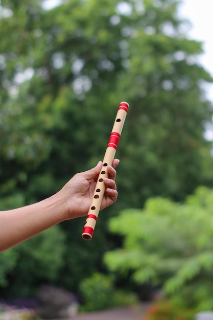 Indian Bamboo Flute in Green Background