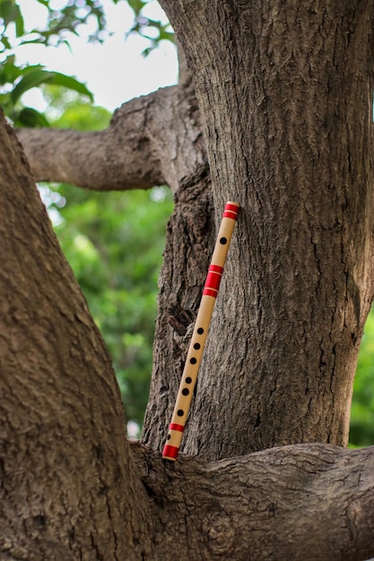 Indian Bamboo Flute on Tree