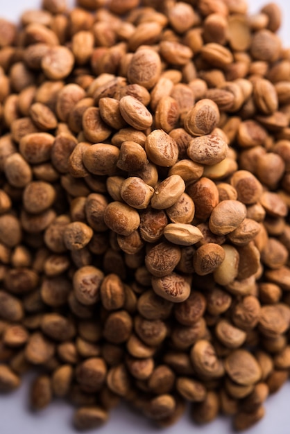 Indian charolya, Buchanania lanzan, Almondette kernel seeds in a bowl or pile. selective focus