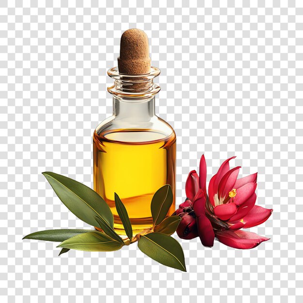 Photo indian costus oil isolated on a white background