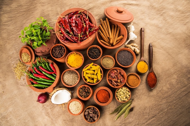 Indian essential spices in terracotta pots