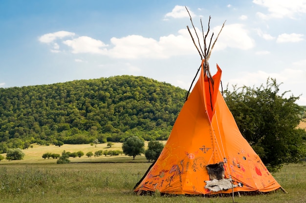 Indian ethnic domicile, teepee AKA wigwam on the meadow