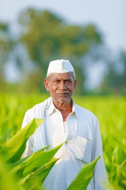 indian farmer at field