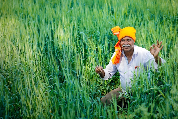 Indian farmer at golden wheat field