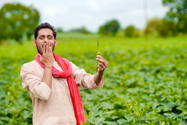 Indian farmer standing and holding ladyfinger in hand at agriculture field.