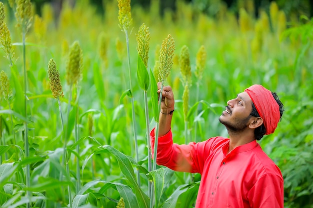 Indian farmer standing in a sorghum field