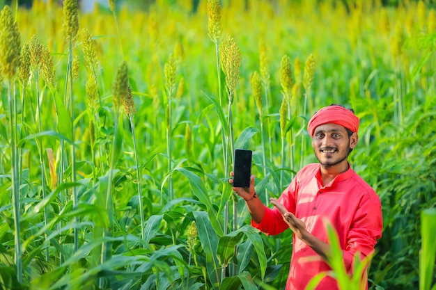 Indian farmer standing in a sorghum field