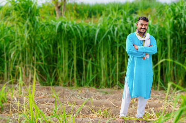 Indian farmer at sugarcane field