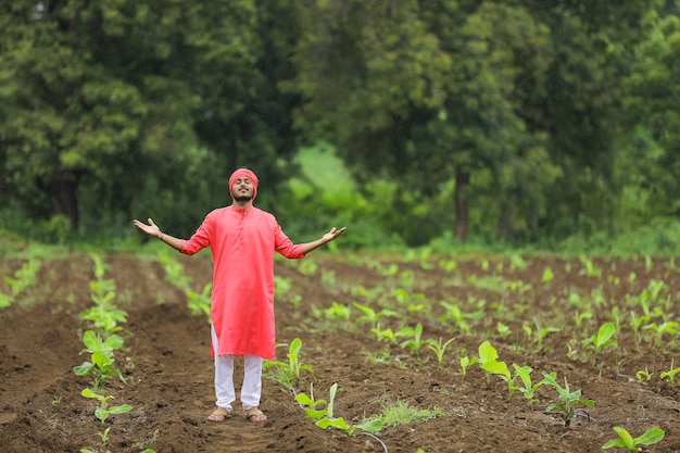 Indian farmer in a traditional costume on the banana field