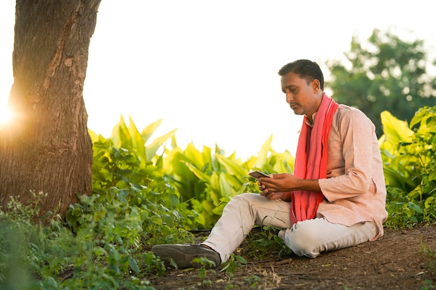 Indian farmer using smartphone at turmeric agriculture field