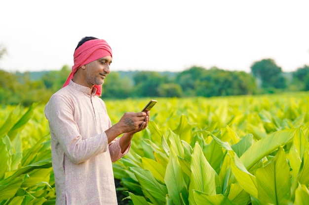 Indian farmer using smartphone at turmeric agriculture field