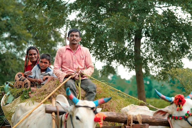 Indian farmer with his family on bullock cart