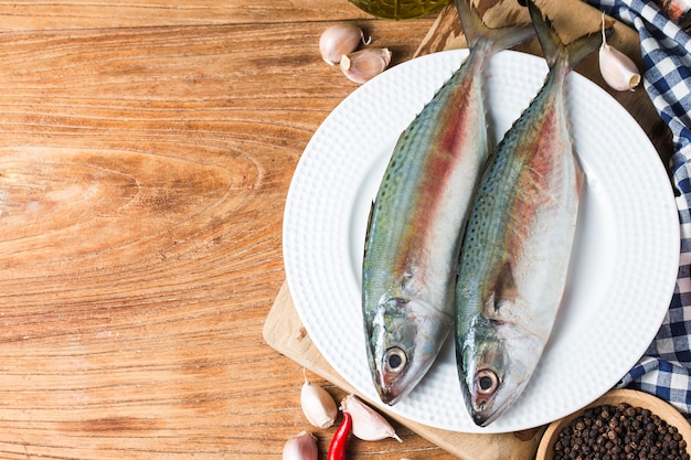 Indian mackerel Rastrelliger kanagurta