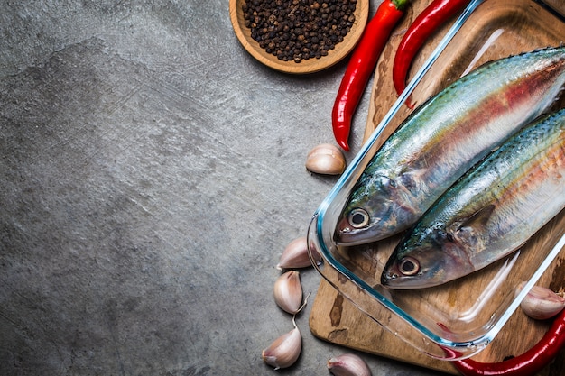 Indian mackerel Rastrelliger kanagurta