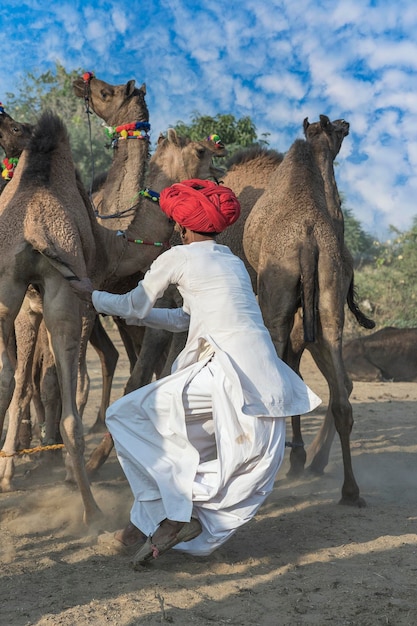 Indian man in the desert Thar during Pushkar Camel Mela near holy city Pushkar Rajasthan India