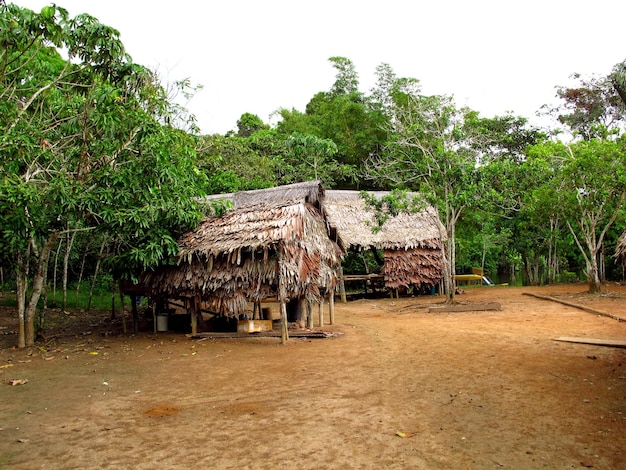 Indian village on Amazon river Peru South America