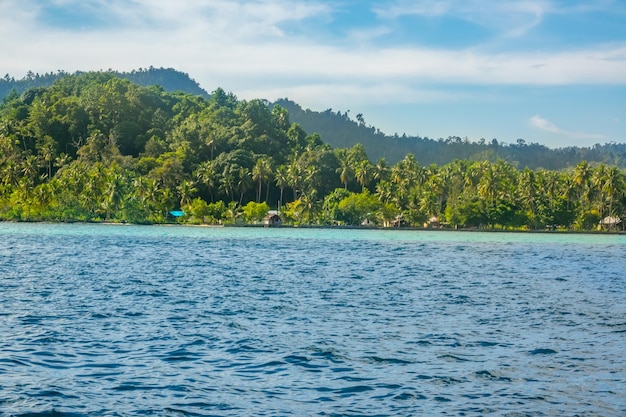 Indonesia. Hilly tropical island overgrown with jungle. Several houses on the beach