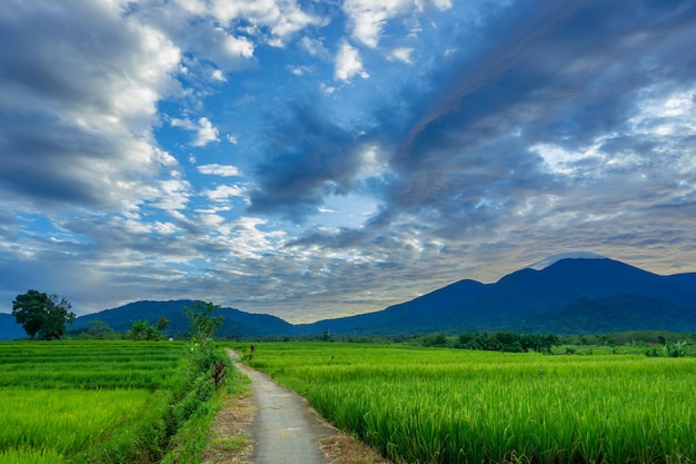 Indonesia's natural panorama in the morning the sun rises over the mountain with green rice fields