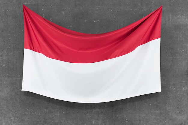 Indonesian independence day