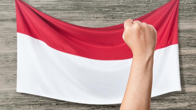 Indonesian independence day