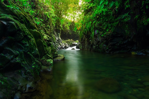 Indonesian landscape in the morning with a waterfall inside a beautiful tropical forest