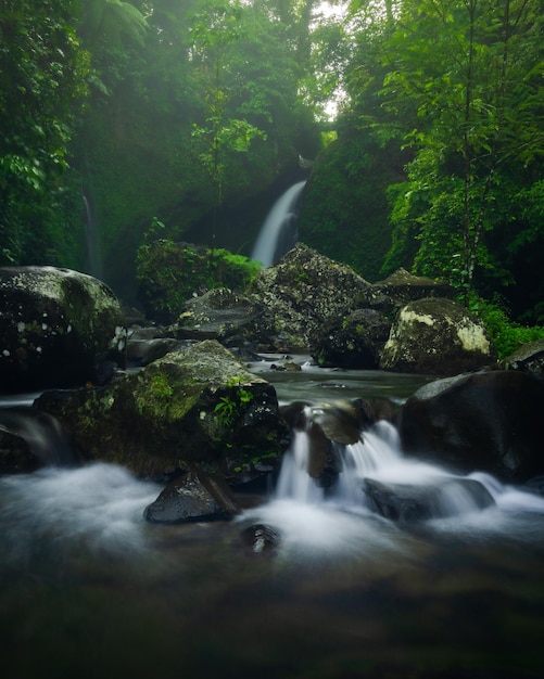 Indonesian landscape photo with waterfall in the morning and beautiful green tropical forest