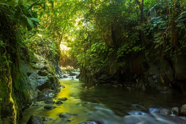 Indonesian natural scenery with a beautiful waterfall in the middle of a tropical forest