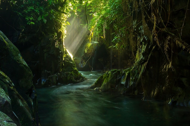 Indonesian natural scenery with a beautiful waterfall in the middle of a tropical forest