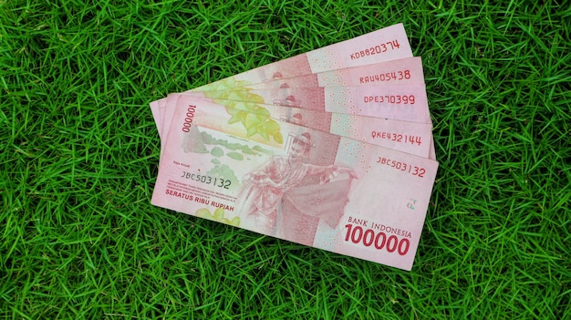 Indonesian rupiah note Indonesian Rupiah the official currency of Indonesia