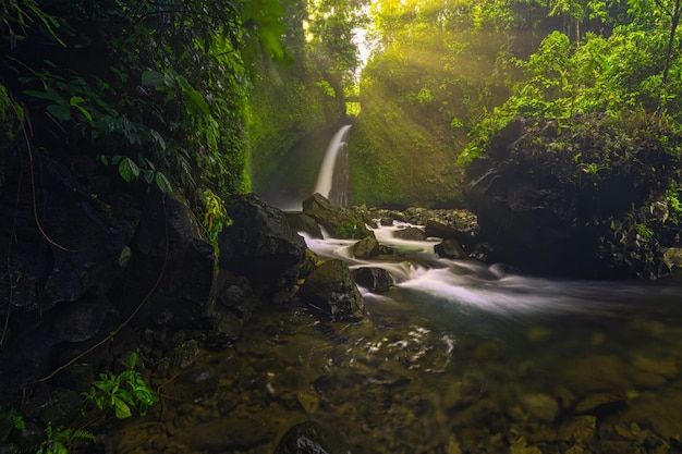 Indonesian scenery at the waterfall on a sunny morning