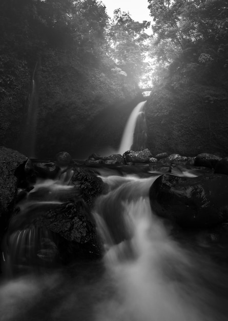 Indonesian tropical forest waterfall natural scenery