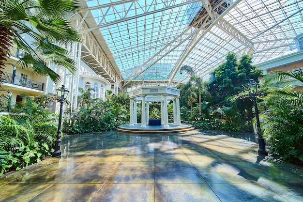 Photo indoor garden gazebo with sunlit glass ceiling low perspective