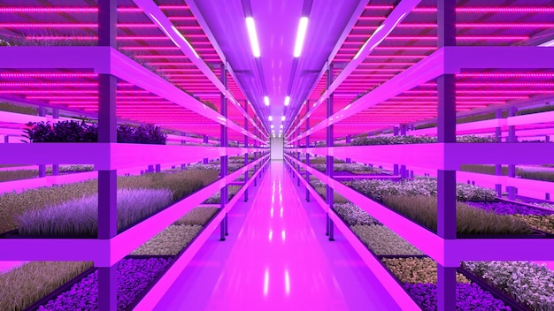 Indoor vertical farm Hydroponic microgreens plant factory Plants grow with led lights Sustainable agriculture for future food 3d illustration