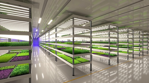 Indoor vertical farm Hydroponic microgreens plant factory Plants grow with led lights Sustainable agriculture for future food 3d illustration