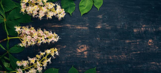 The inflorescence chestnut Medicinal plants On a wooden background Top view Copy space