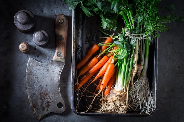 Ingredients for roasted tasty vegetbales made of vegetables and thyme