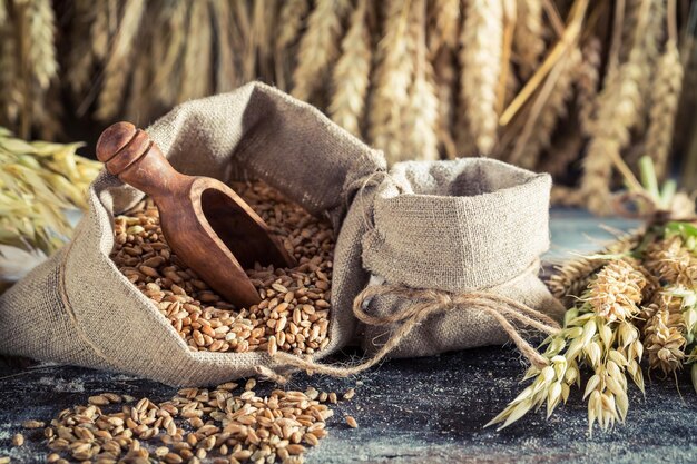 Ingredients for rolls and bread with whole grains