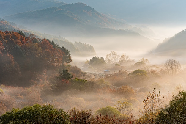 Inje-gun secret garden, fog and sunrise, Republic of Korea