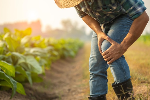 Injuries or Illnesses that can happen to farmers while working Man is using his hand to cover over knee because of hurt pain or feeling ill