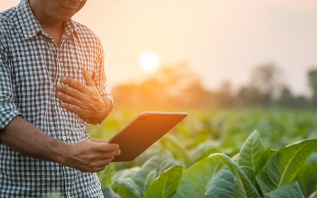 Injuries or Illnesses that can happen to farmers while working Man is using his hand to cover over left chest because of hurt pain or feeling ill