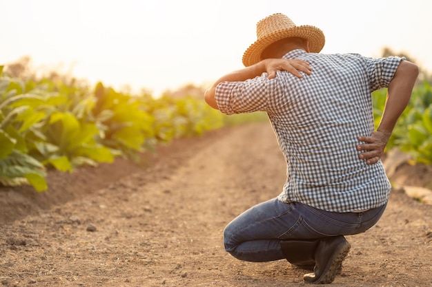 Injuries or Illnesses that can happen to farmers while working Man is using his hand to cover over waist because of hurt pain or feeling ill