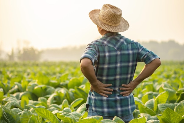 Injuries or Illnesses that can happen to farmers while working Man is using his hand to cover over waist because of hurt pain or feeling ill