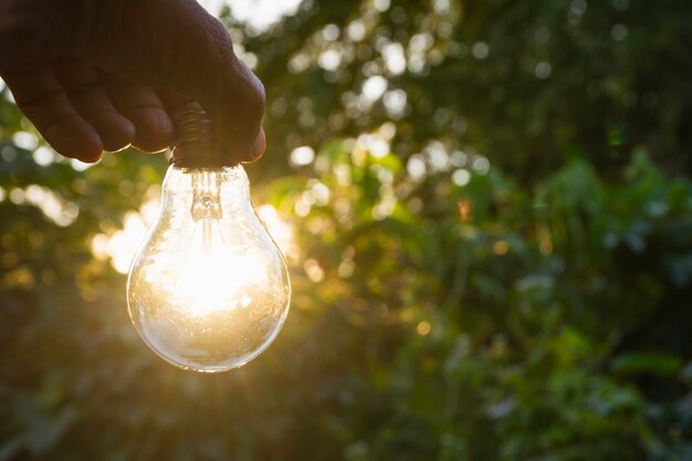 Innovation and energy concept of hand hold a light bulb